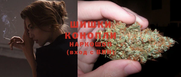 прущие грибы Балахна