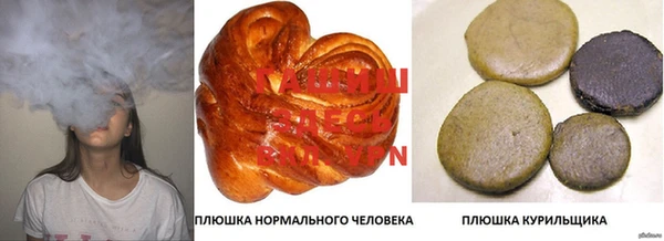 прущие грибы Балахна