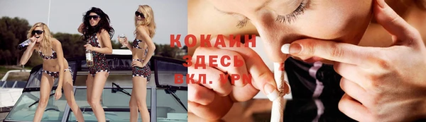 прущие грибы Балахна