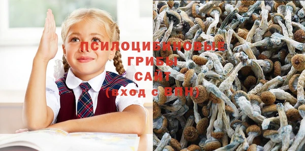 прущие грибы Балахна