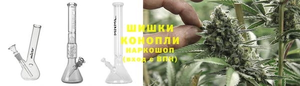прущие грибы Балахна