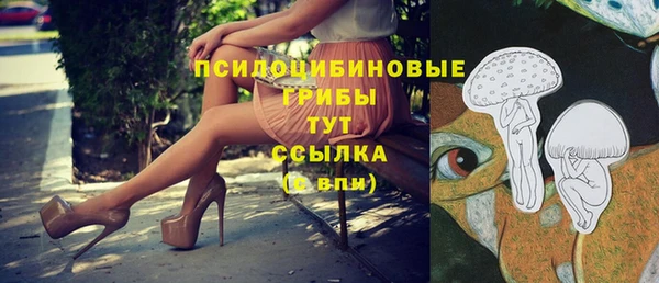 прущие грибы Балахна