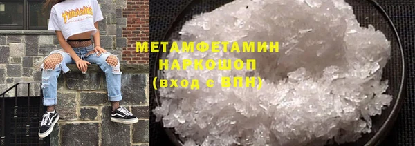 прущие грибы Балахна